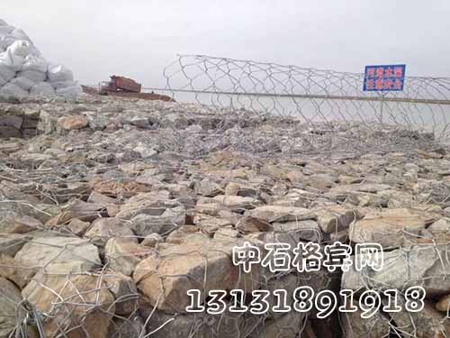 zsshilong56.jpg zsshilong56.jpg