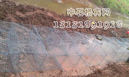 zsshilong75.jpg zsshilong75.jpg