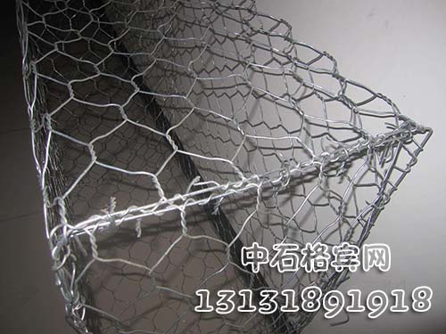 zsshilong119.jpg zsshilong119.jpg