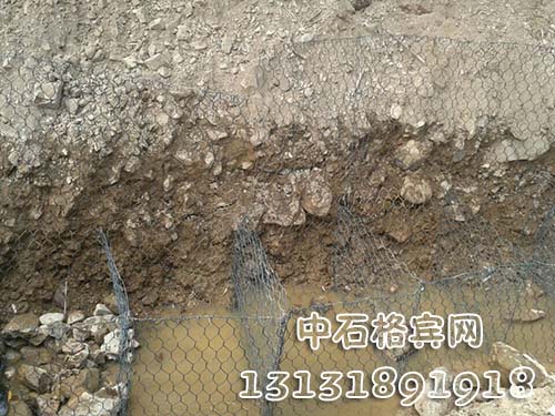 zsshilong123.jpg zsshilong123.jpg