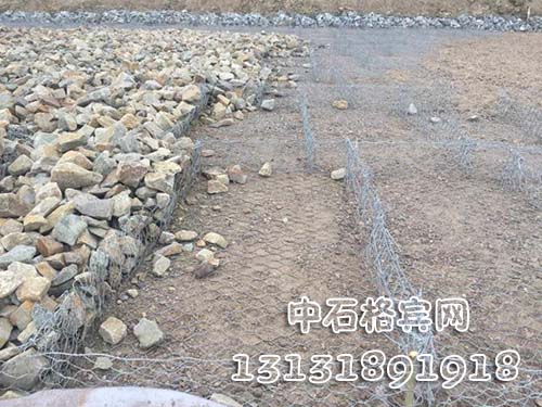 zsshilong155.jpg zsshilong155.jpg