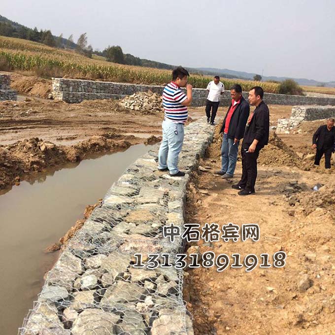 13131891918護岸賓格網(wǎng)價格 13131891918護岸賓格網(wǎng)價格