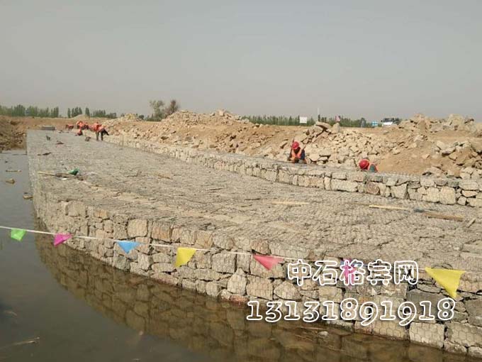 護堤雷諾護墊價格規(guī)格13131891918