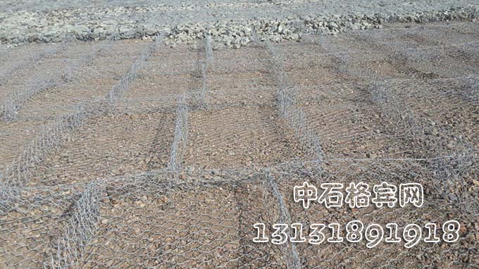 雙隔板雷諾護(hù)墊