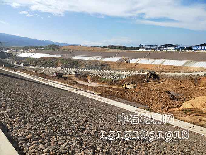 雙隔板雷諾護墊