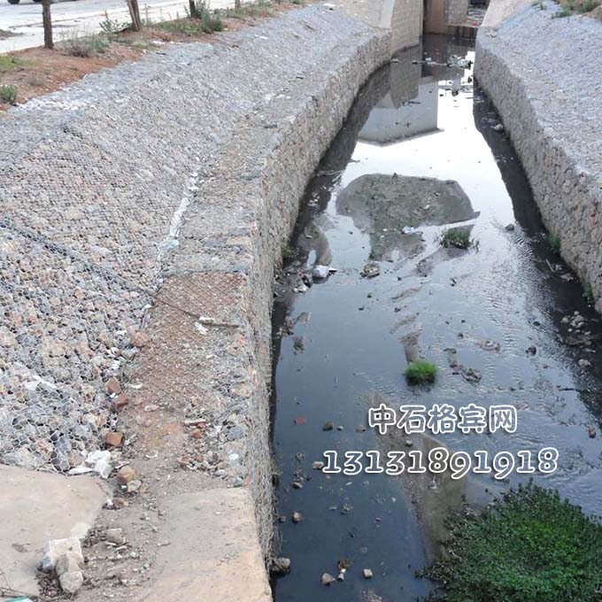 雙隔板雷諾護墊