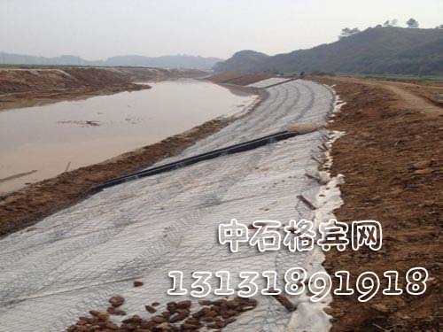 雙隔板雷諾護(hù)墊